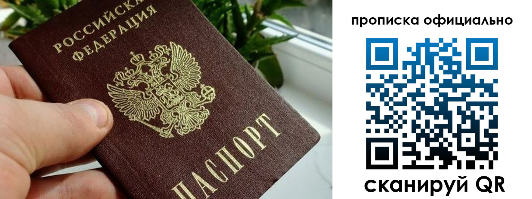 прописка поиск в Шимановске